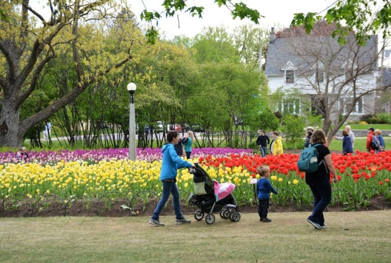 Image of Burlington